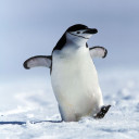 Profile picture of David Vogel