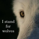 Profile picture of ANTHONY C.