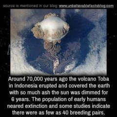 The Toba Eruption